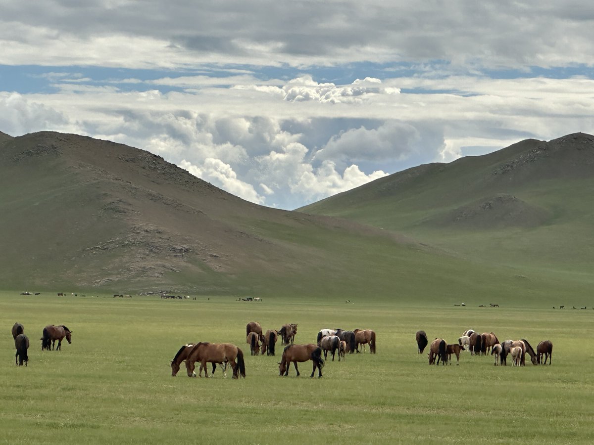 Gecenin karanlığında aklıma gelen Ötüken”deki atlar…