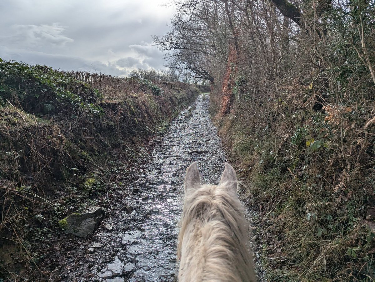 This byway near Brimley is known as Water Lane, I wonder why ? . Hint, it's not a stream