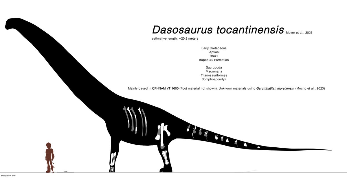 Dasosaurus is the newest brazilian dinosaur, beeing a large sauropod from lower Cretaceous of Maranhão. As a Brazilian, I had to make an skeletal of him. Viva a ciência brasileira e viva a minha Pátria Amada Brasil!!

#Brasil #paleoart
