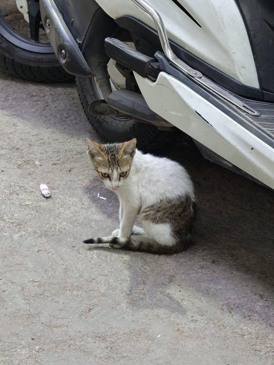 Mehtab Ansari 🍉 tweet media