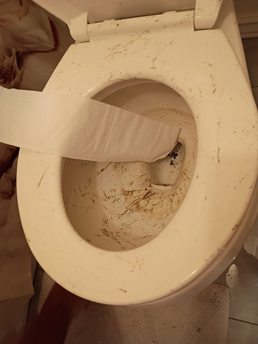 I just had a rat come up into my toilet 😳 I don't think I'll ever go to the bathroom at night again 😱 I have been away for a while and found this. I thought someone came into my condo and used my toilet until the rat came running out. 🤮