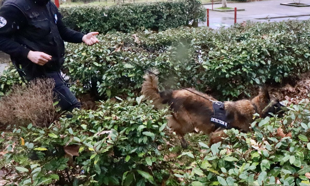 Préfète de la Drôme 🇫🇷🇪🇺 tweet media