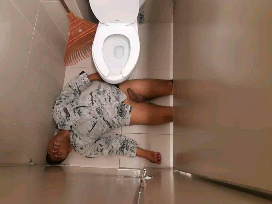 🦇🦉 INQUIBB🦉🦇 ® tweet media