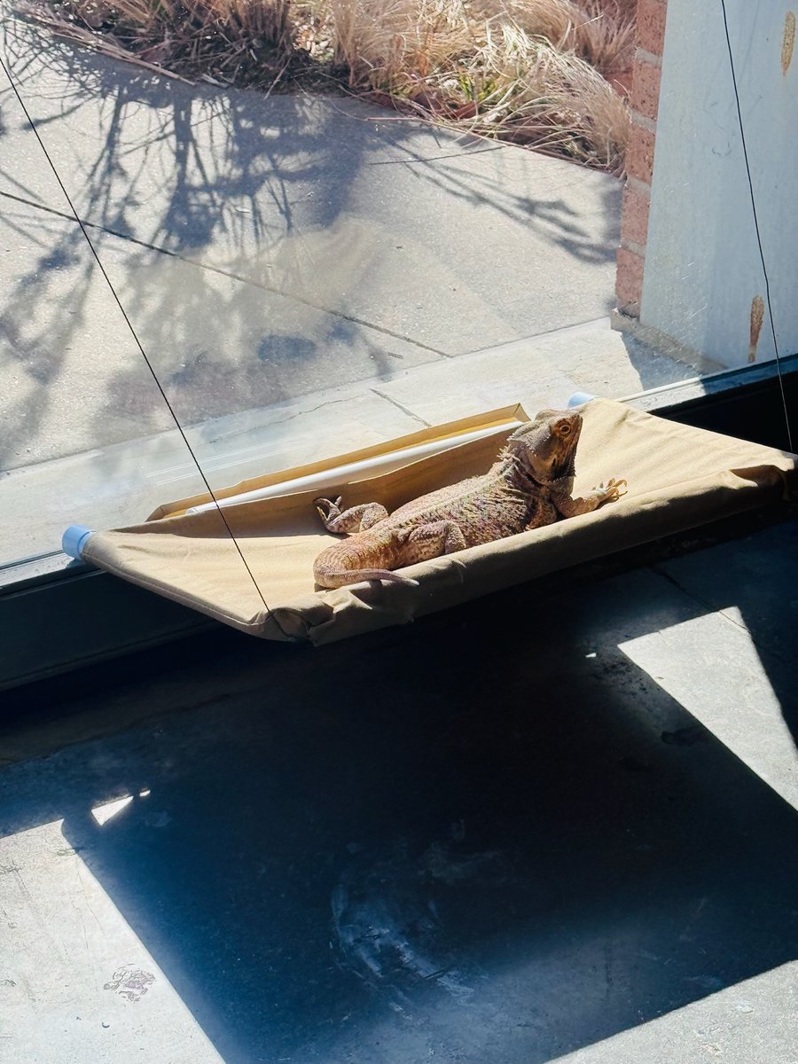 Allen STEAM Center tweet media