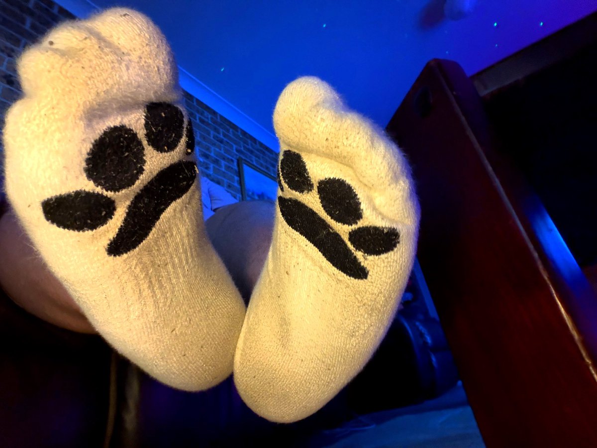 Wanna sniff my paws? 🐾😏