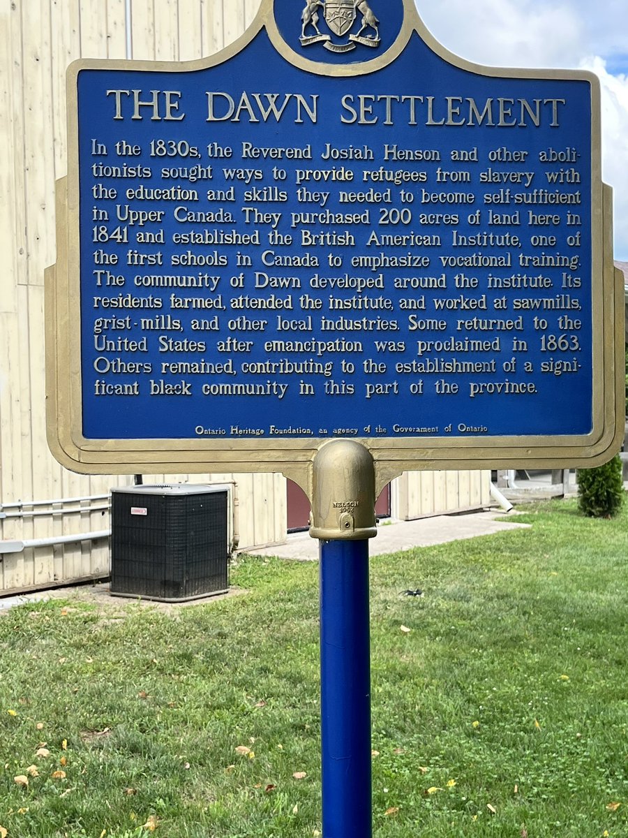 Lis Pfeiffer tweet media