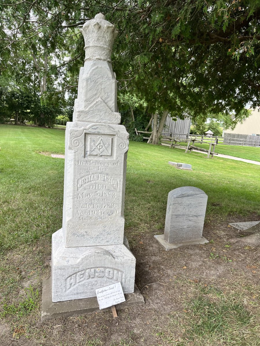 Lis Pfeiffer tweet media