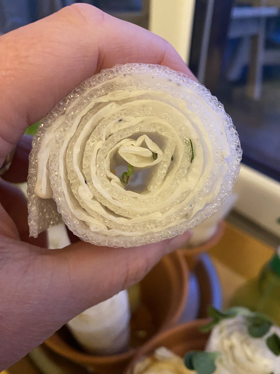 Sue Mayor tweet media