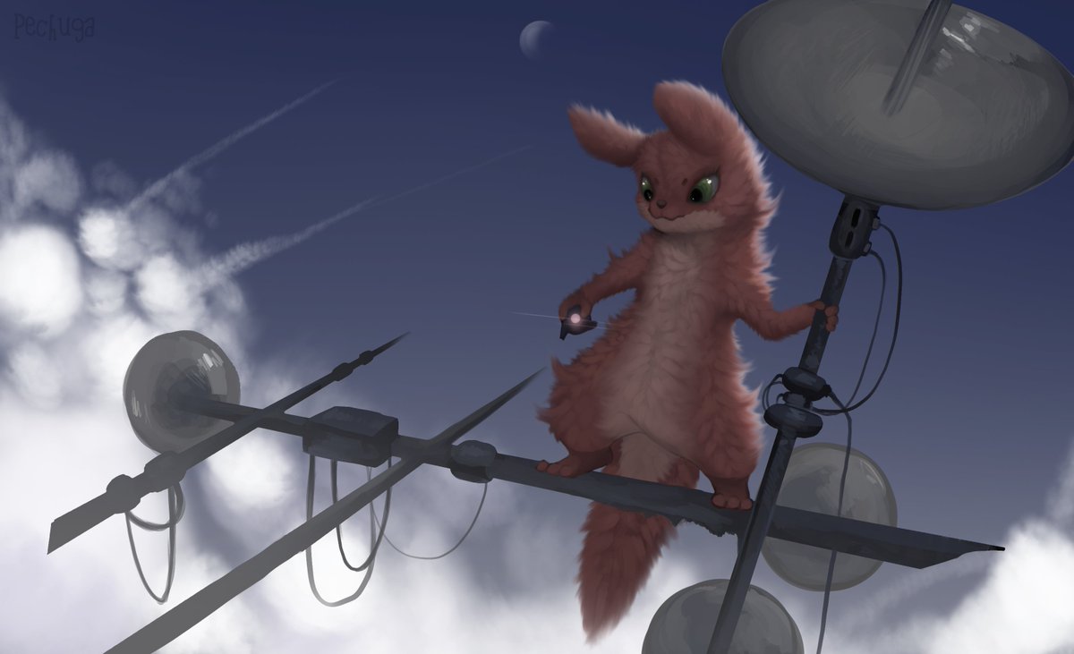 Pechuga🦎 tweet media