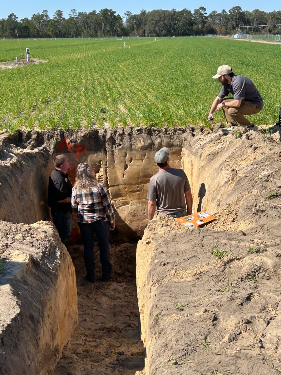 Sustainable Ag UF tweet media