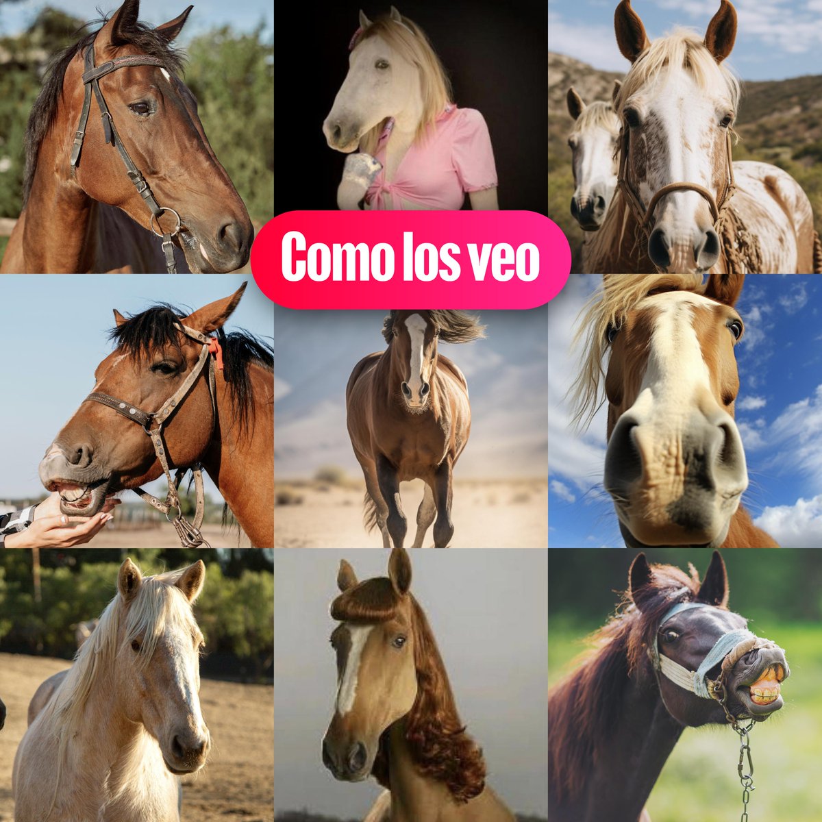 <a href="/alondrisaa/">alo</a> <a href="/raineeelis/">rai</a> <a href="/alexomarc/">alex</a> 🐴🐴🐴🐴🐴🐴🐴