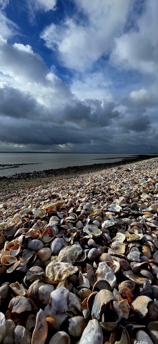 E16Kat's tweet photo. #canvey 
#essex https://t.co/DJzBljVM2x