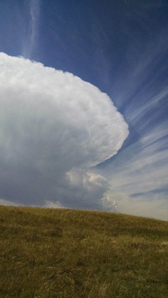 Barbara Cooksley tweet media