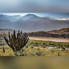 Santpin23's tweet photo. @Alevet7 @fertxosmith @luis1210 Lagunillas, Merida
Laguna de Mucubají, Merida
Vista de San Jose de Bolivar desde el Lajon de los Indios, Andes Tachirenses, Tachira
Parque Nacional el Tama, Tachira https://t.co/HDmFJzFUg4
