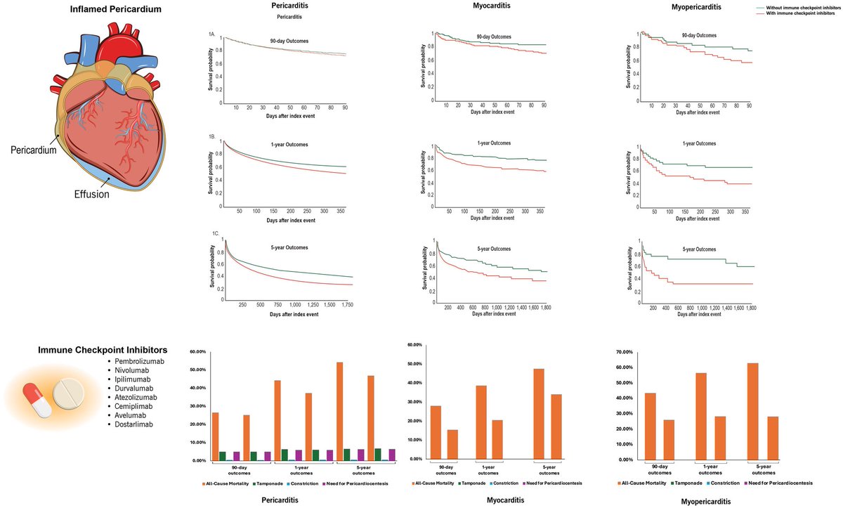 Ankit Agrawal tweet media