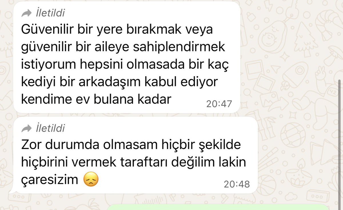 sleymannecip tweet media