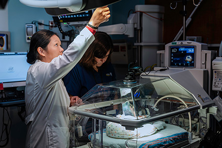 USF Research tweet media