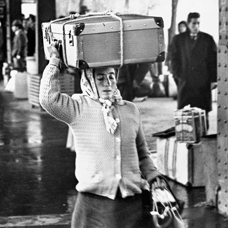 Arzalia Ediciones tweet media