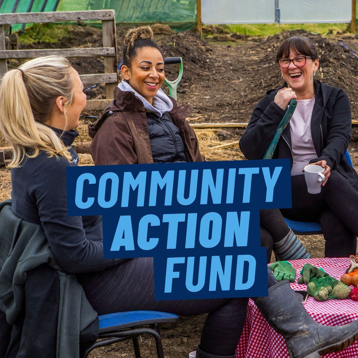 Network Of Wellbeing tweet media