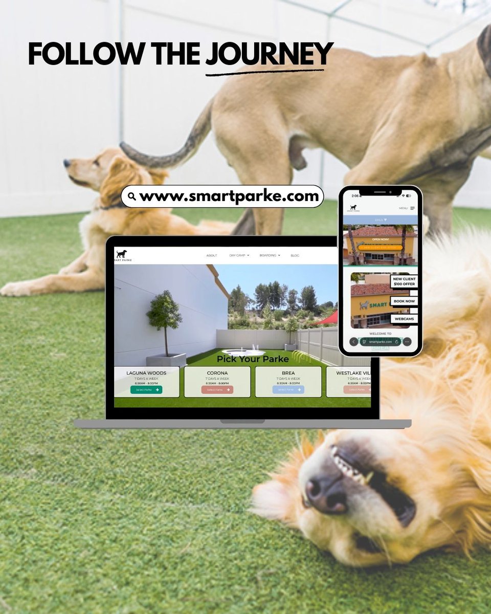 Flying V Group Digital Marketing tweet media