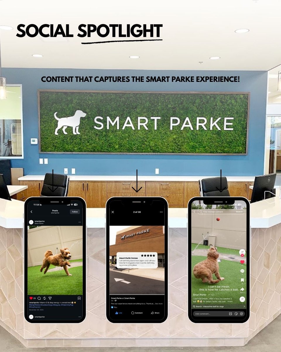 Flying V Group Digital Marketing tweet media