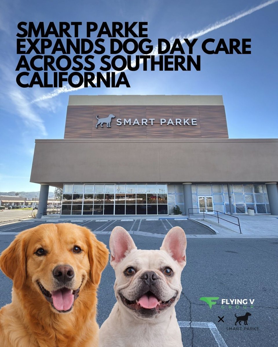 Flying V Group Digital Marketing tweet media