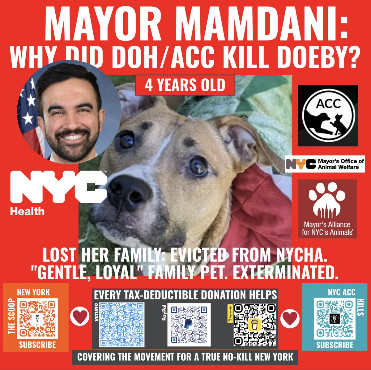 The Scoop New York • Subscribe Today! (@thescoopnewyork) on Twitter photo 