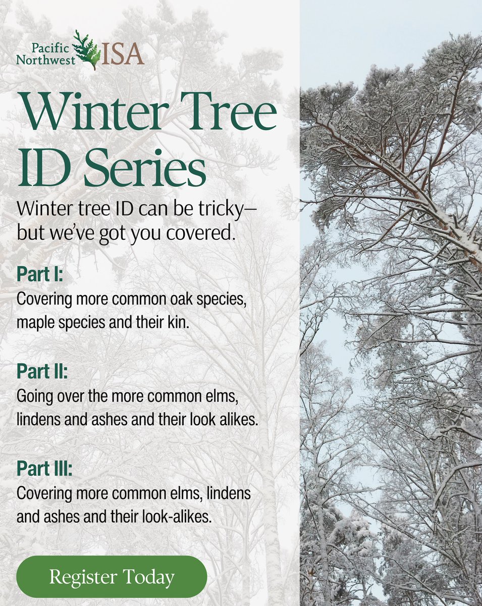 Join Casey Clapp via Zoom on Feb 20, 12–2 PM PT for the final session in this three-part series. Learn to ID winter trees like elms, lindens, and ashes—plus their look-alikes.

⏳ Registration closes Feb 19 at noon PT → pnwisa.org/events/EventDe…

#ForestryEducation