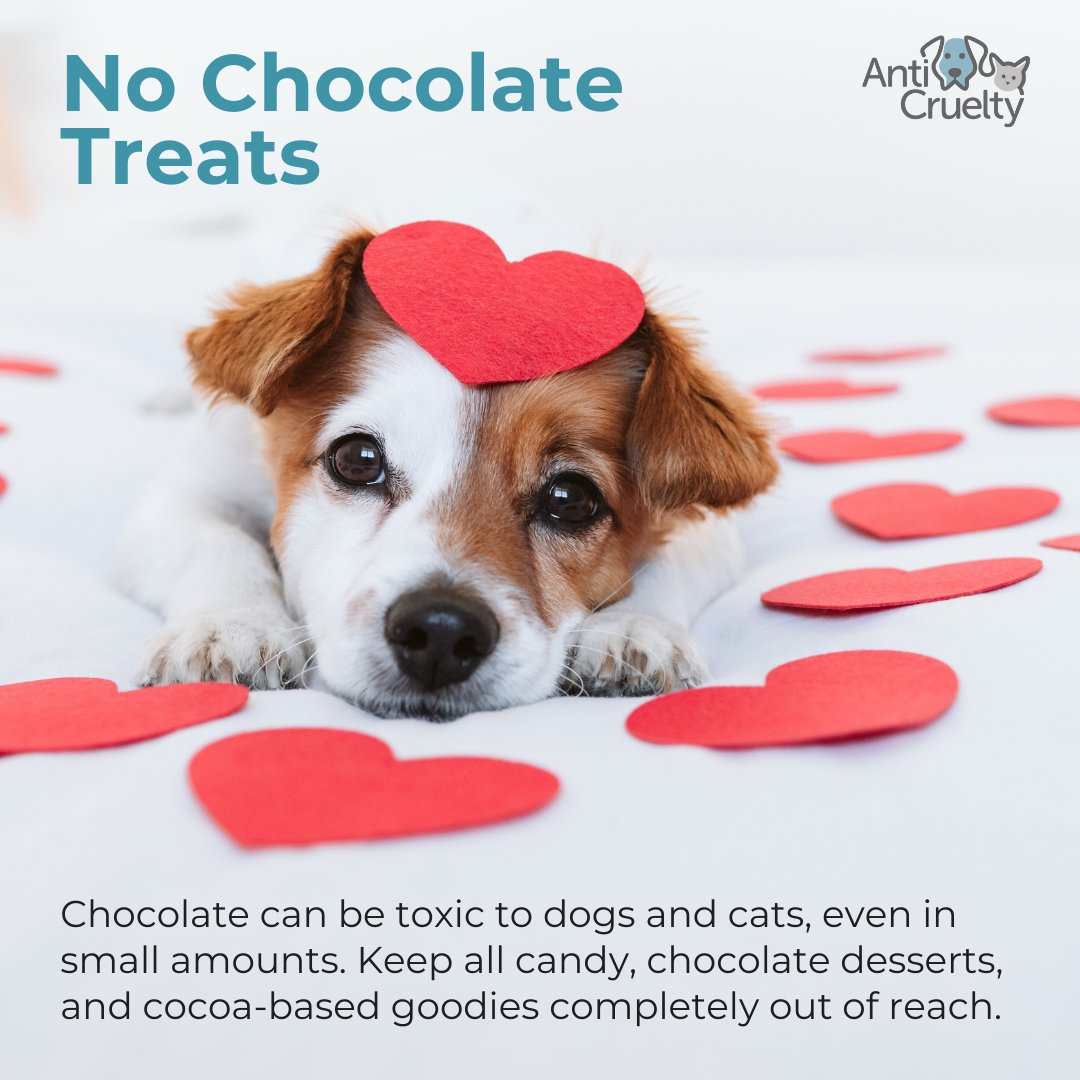 Anti-Cruelty tweet media