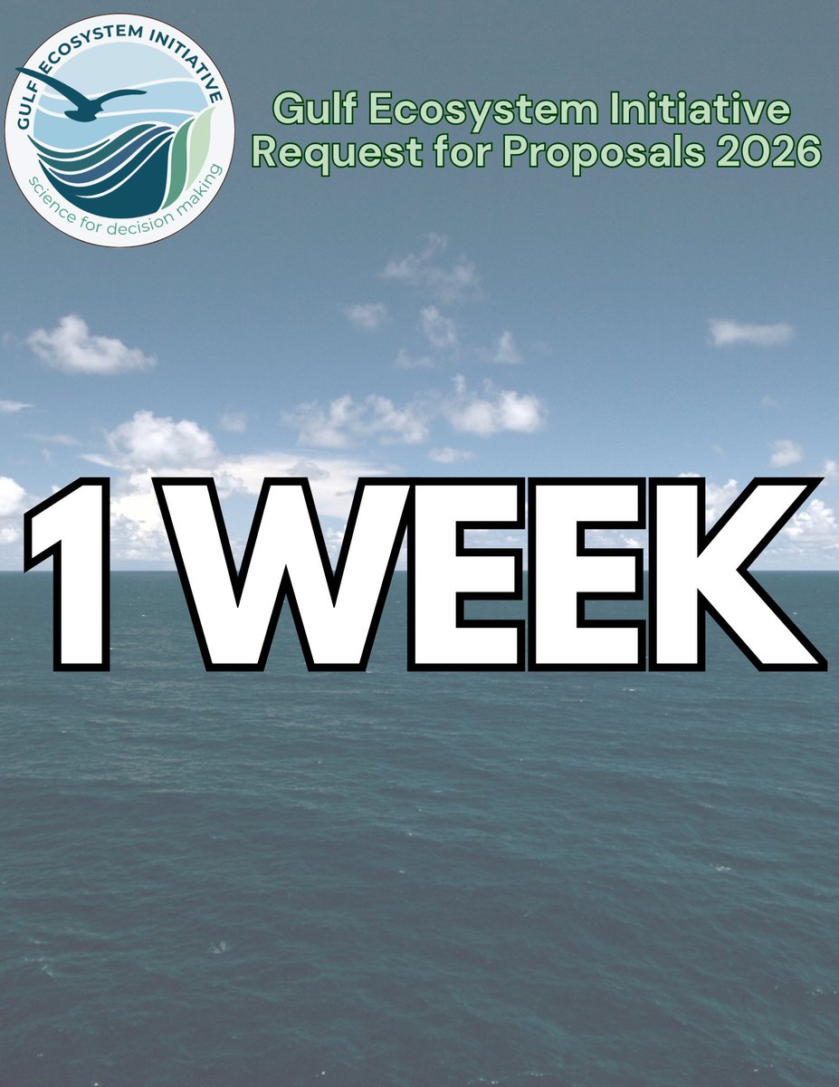 ucsb_nceas's tweet image. One week to go! 🐠

Don’t miss your chance to support synthesis science for Gulf resilience.

📅 Applications close Feb 20 

#FinalCall