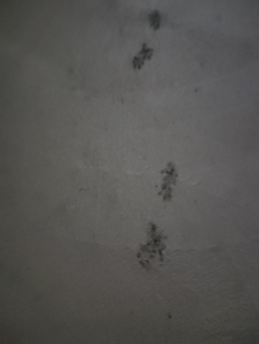 なかぽん tweet media