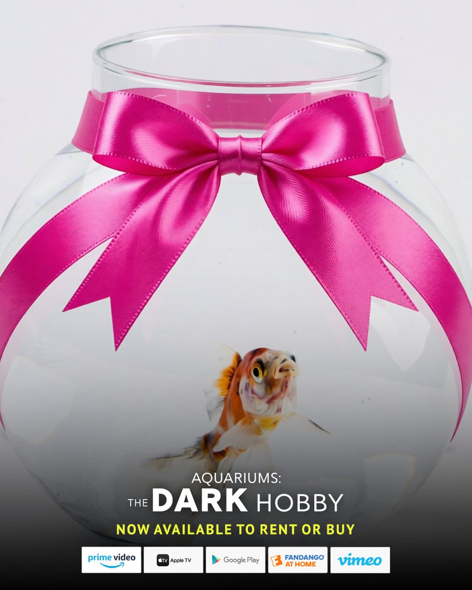 Aquariums: The Dark Hobby tweet media