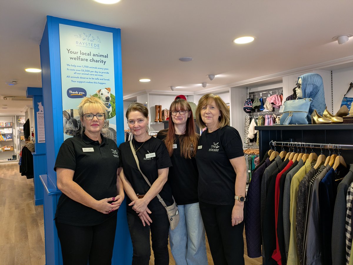 Raystede tweet media