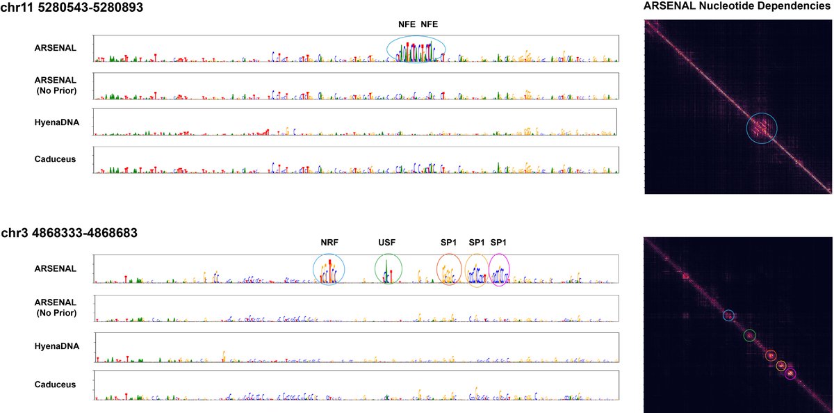 Aman Patel tweet media