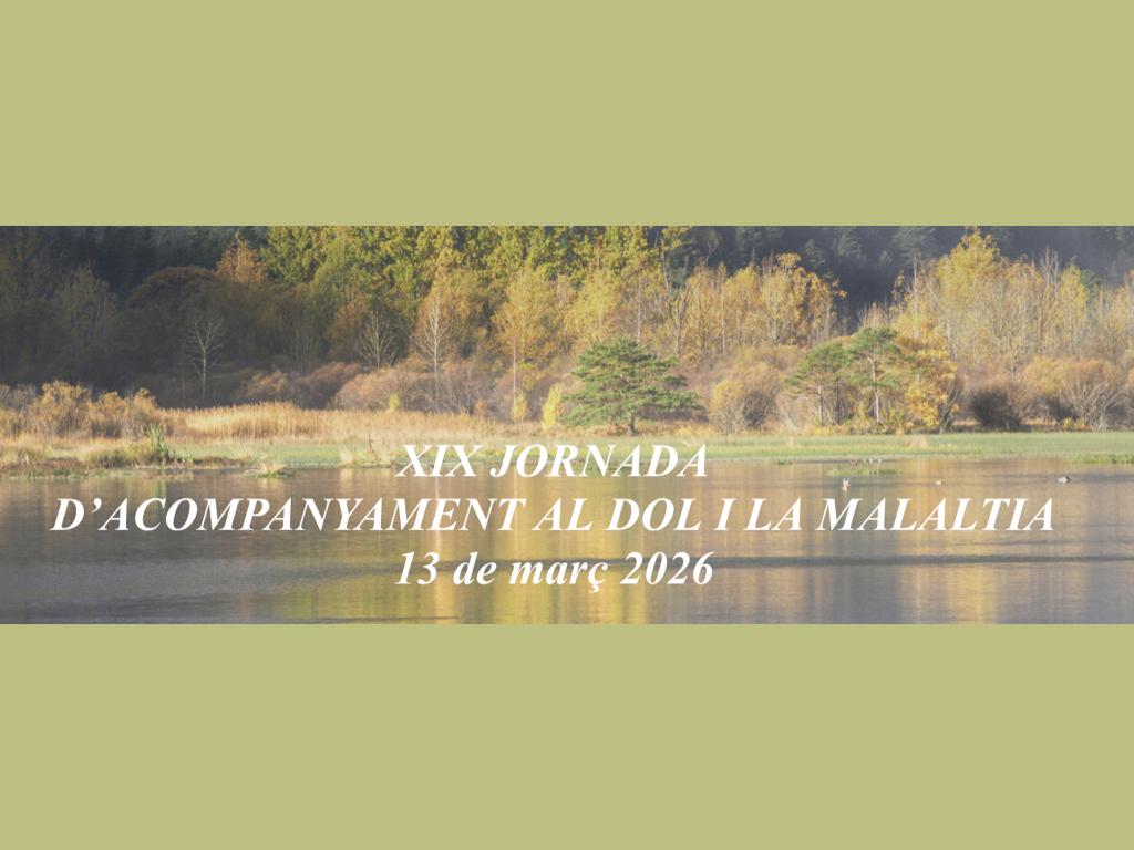 Teresa Mateu tweet media