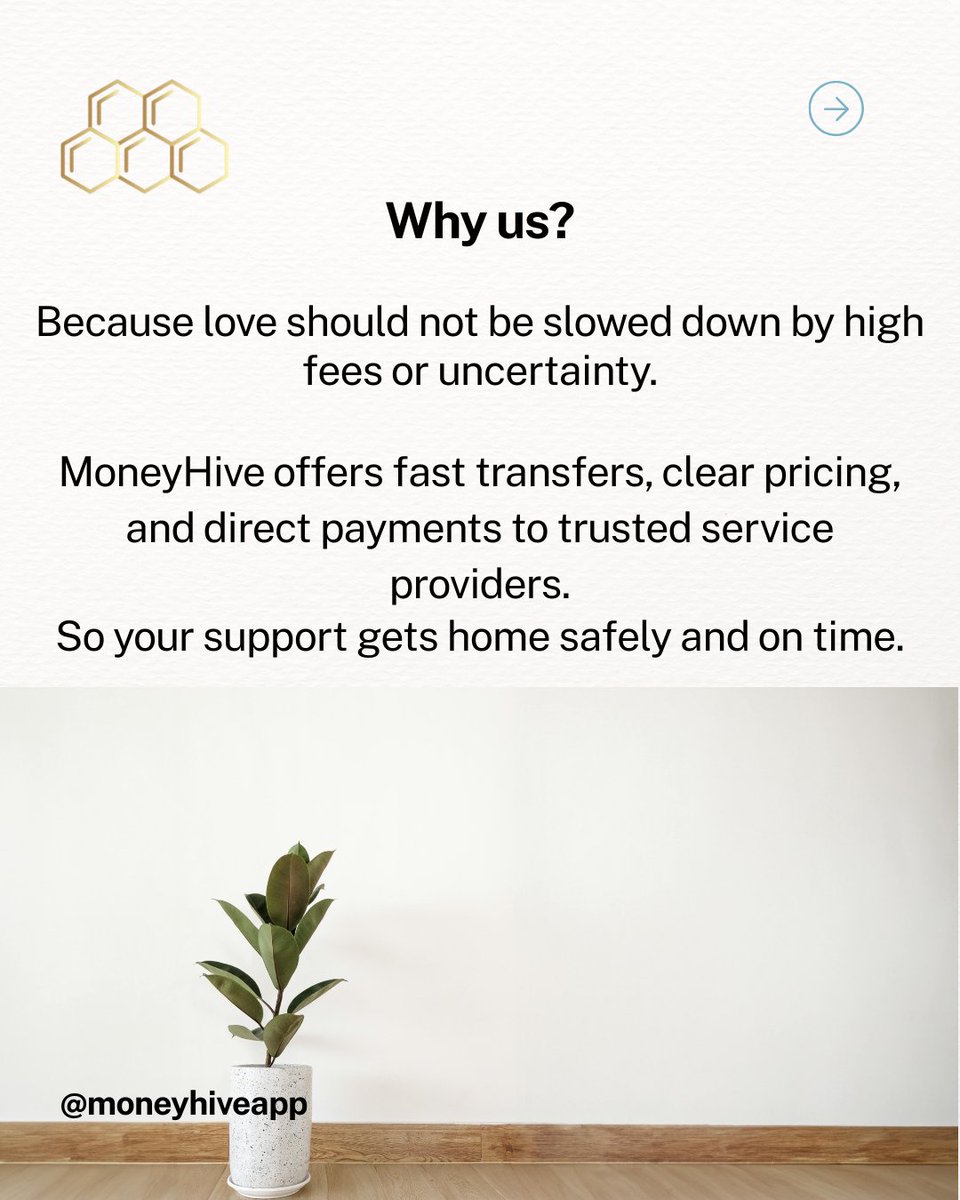 MoneyHive tweet media