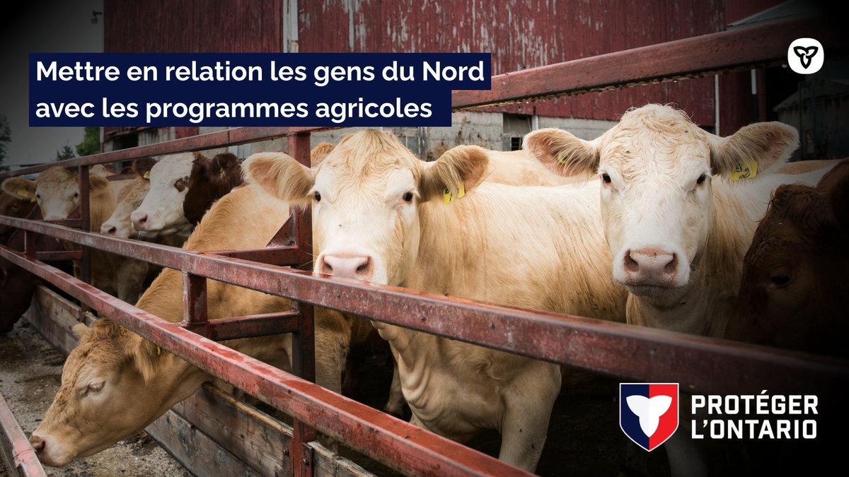 (1/2) Si vous êtes agricultrice ou agriculteur ou membre d’un organisme agricole du Nord de l’Ontario, assistez au webinaire sur l’agriculture organisé par <a href="/ONnord/">Développement et croissance économique du Nord</a>, <a href="/Agriculture_ON/">Agriculture, Alimentation et Agroentreprise ON</a> et <a href="/affairesrurales/">Ministère des Affaires rurales de l'Ontario</a> le 18 février à 19 h (HE).
