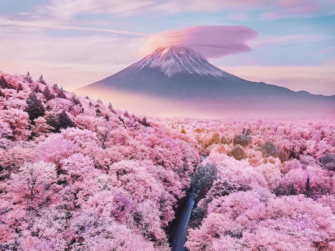 Wow 🤩
#Giappone