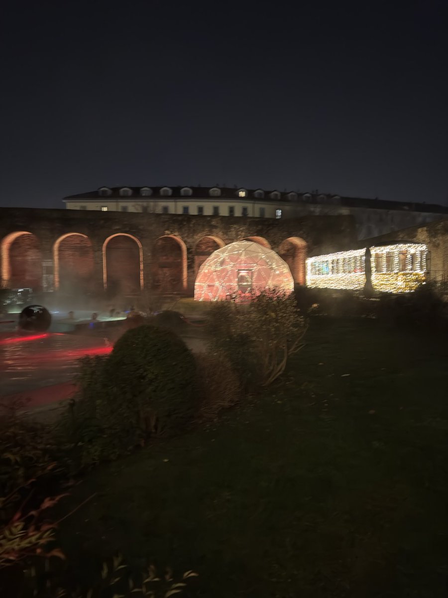 Drojo24 🪽 tweet media