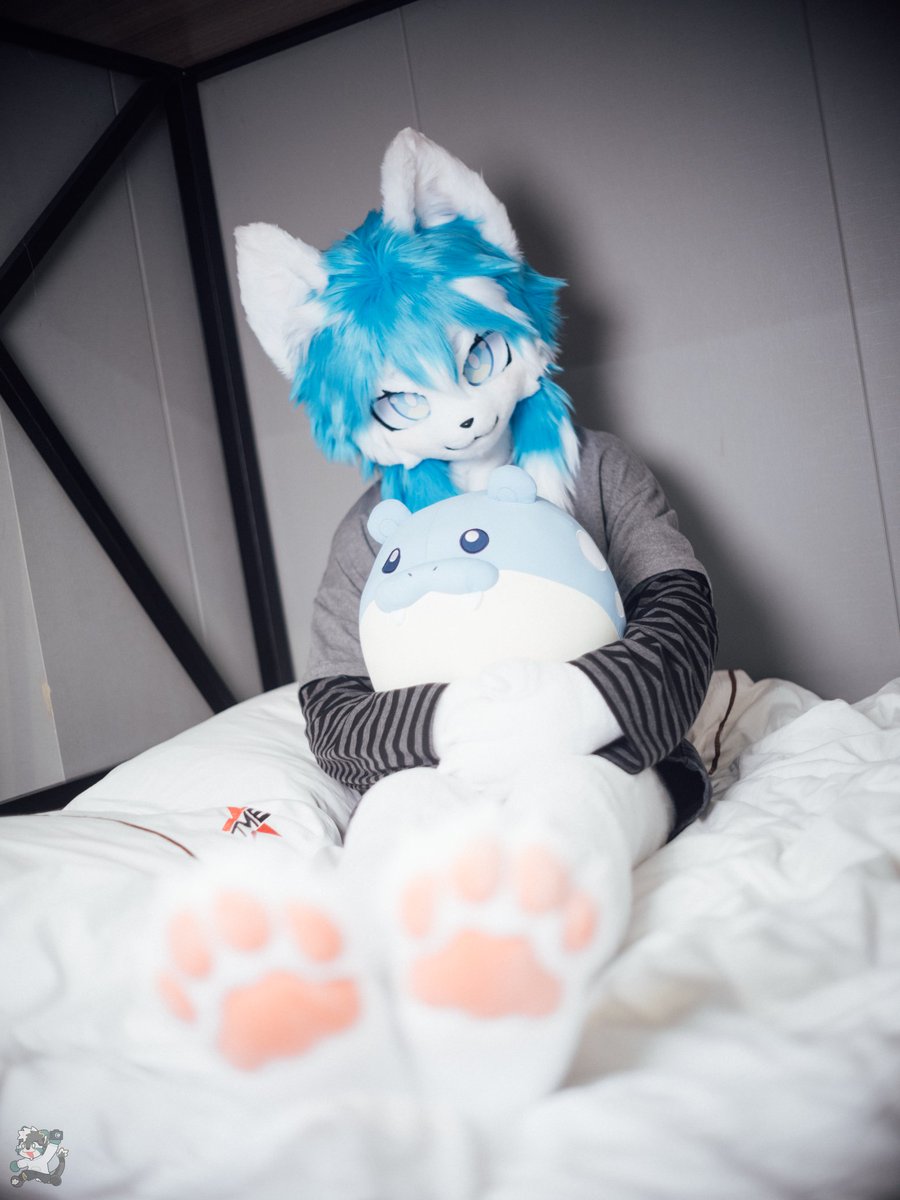 baiduqing's tweet photo. 我有海豹球😋
📷:@llingtu 

#FursuitFriday #fursuit https://t.co/eJStJGgdtG