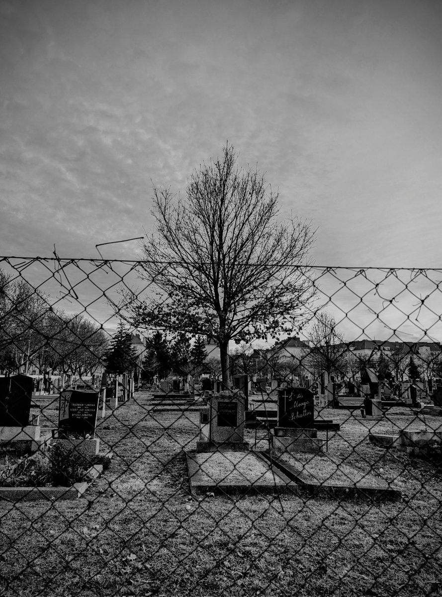 از وقتی خودمو شناختم خونمون کنار قبرستون بود. از بچگی هر وقت از هرچی ناراحت بودم میرفتم اونجا گریه میکردم. مهم نبود سر قبر آشنا یا غریبه. اونجا تنها جاییه که از نظر همه گریه کردن معقول‌ترین کاره.