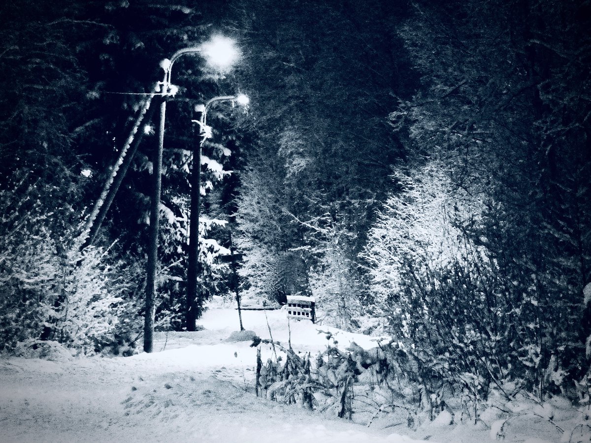 seppohas's tweet photo. Aamuisen puolentoista tunnin lumijumpan jälkeen pidättäydyin enemmältä riehkasulta.
Paitsi ennen varhaista maatepanoa oikostin haukkaamaan happea lähitienoon patikointiväylille.
Ruuhka-Suomen äänettömyys melkein sattui korviin. Kuulin hiljaisuuden.
#vantaa #ilola https://t.co/tkBBor0ush