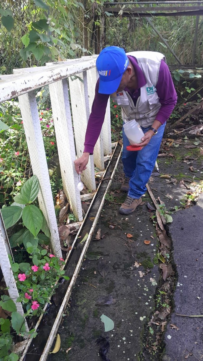 #MoronaSantiago | Capacitamos al personal del GAD Cantonal de Sevilla Don Bosco, quienes apoyarán en actividades de control vectorial (inspección, abatización y eliminación de criaderos del mosquito 🦟 causante del dengue. #ElNuevoEcuador