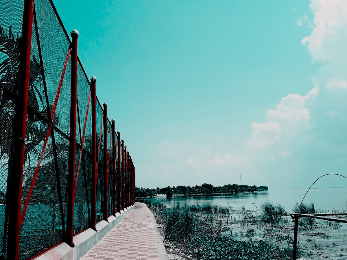 onshakirgallery's tweet photo. "In this untamed sanctuary, a quiet story unfolds. This isn't just a creature; it's a testament to wildness, to a life lived on instinct and rhythm. #onshakirgallery
#streetphotography
 #photooftheday #underratedphotographer #experimentalphotography https://t.co/9YqOviLgks