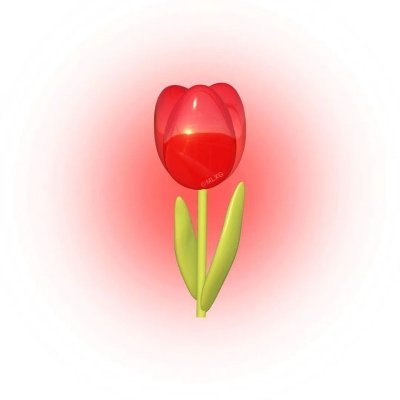 KayceeDevlinTS's tweet image. “Happiness is a daily decision.” #hashtagvayekamisa7