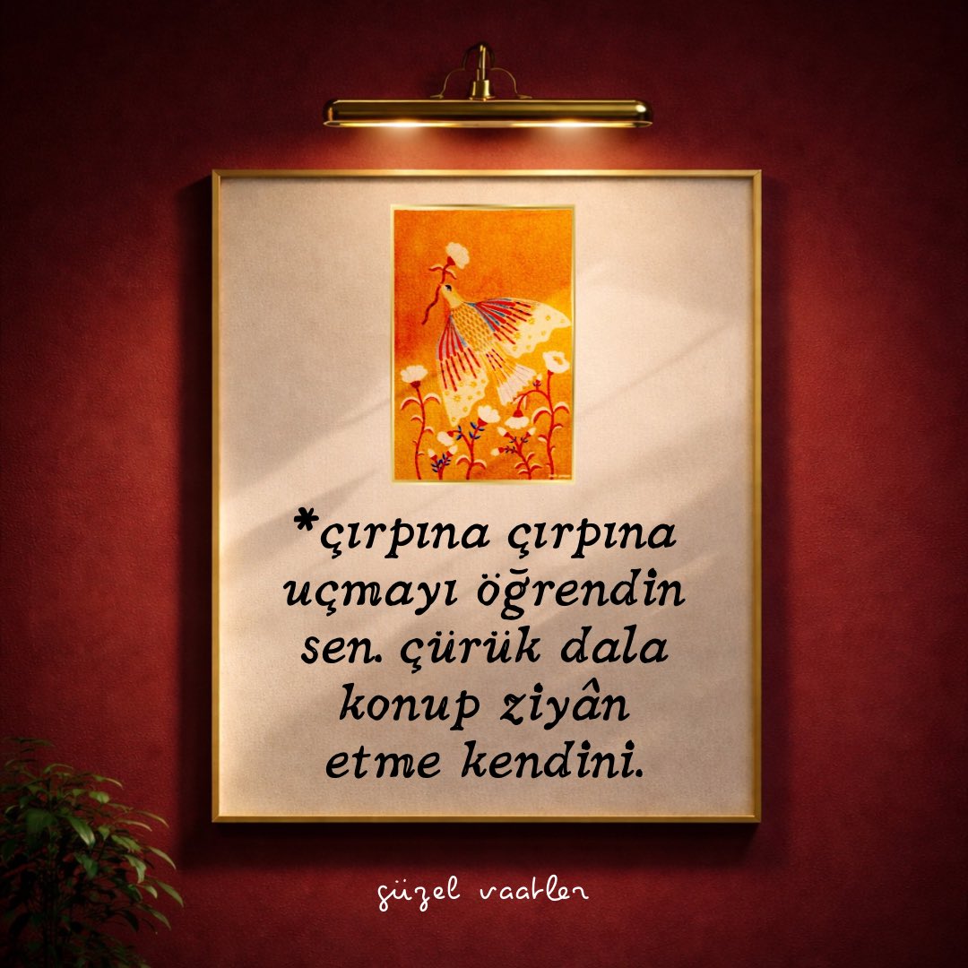 * ziyan etme kendini.