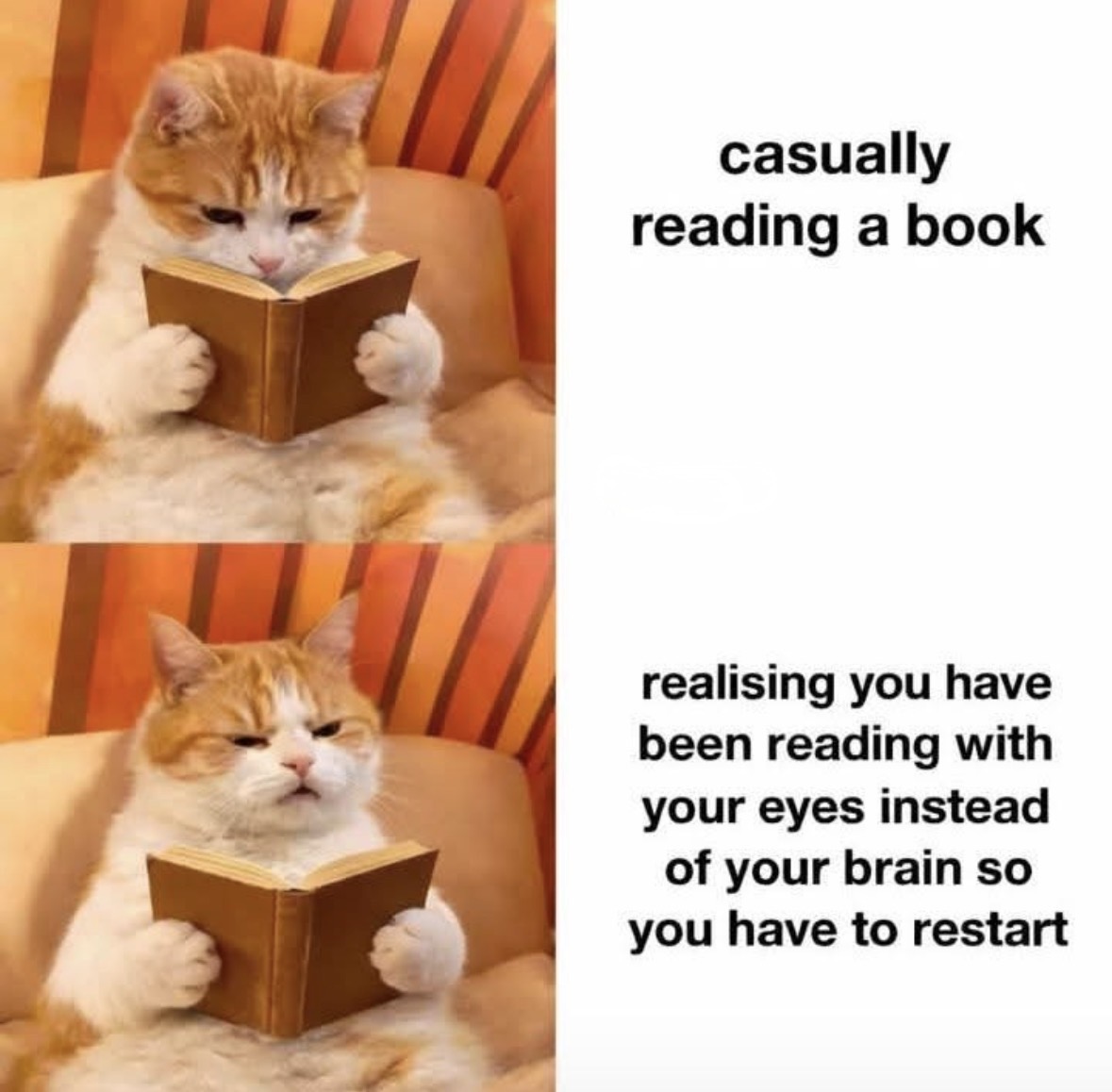 Respectful Memes (@respectfulmemes) on Twitter photo 