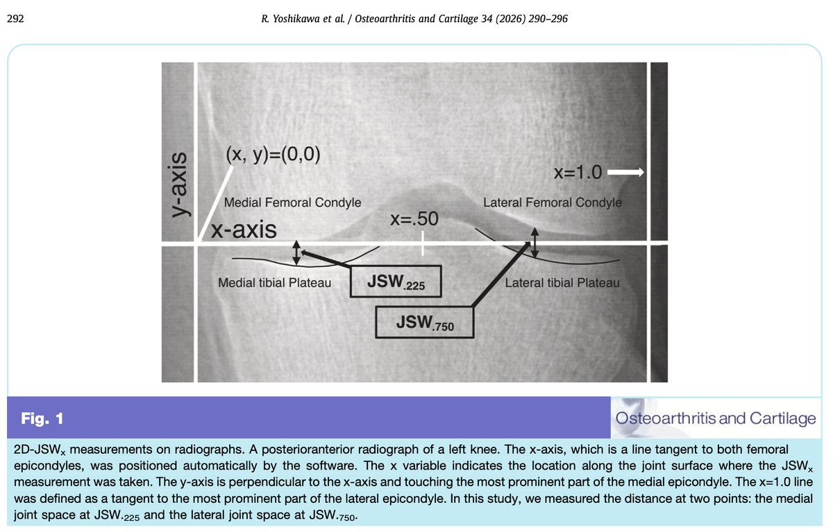 Osteoarthritis and Cartilage Journals tweet media