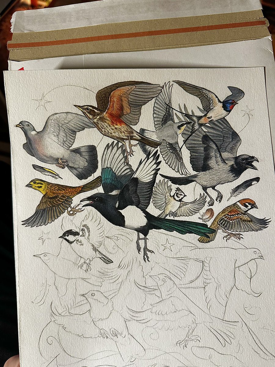 KatePow3ll's tweet image. work in progress 🐦✍️