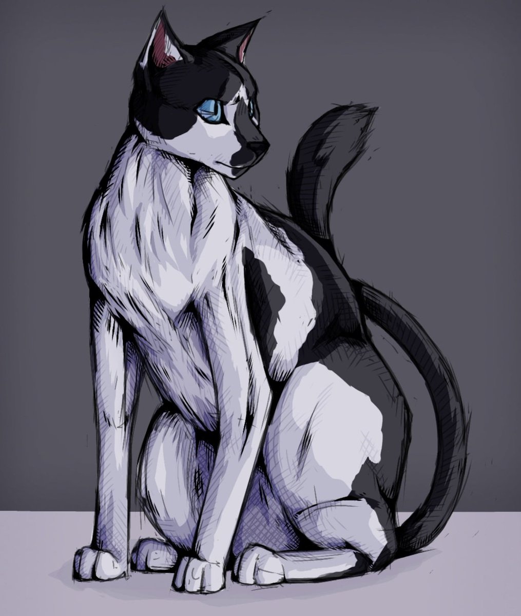 Soul_Mistake's tweet photo. Un dibujo que un colega me pidio para una amiga suya... lástima que al final no fue para lo que yo pensaba y la verdad era que el gato había fallecido... F 😔

#ArtistOnTwitter #digitalart #dibujodigital #dibujo #ilustration #dibujos https://t.co/5BHR672E6F